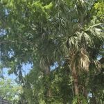 HIGHBANKS CAMPGROUND