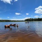 Seminole Wind Ranch