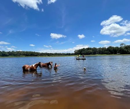 Seminole Wind Ranch