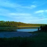 Trout Pond