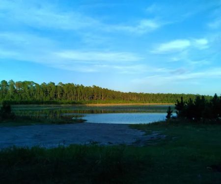 Trout Pond