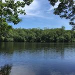 Wood Lake