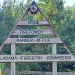 Forestry Commission
