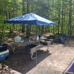 Council Lake Dispersed Campsite
