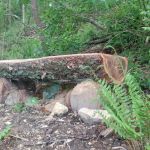 Hawk Arrow Springs