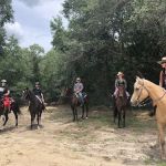 Black Horse Resort Ranch