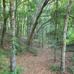 Mutual Mine Campground