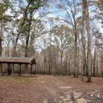 Lost Lake Campsite