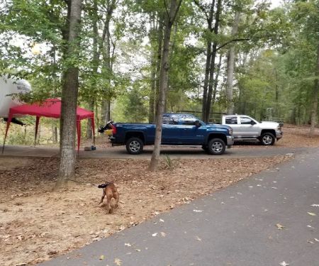 Forkland Campground