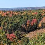 Wildcat Mound Park