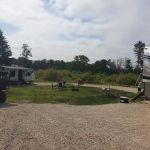 Friess Forest