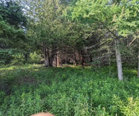 Cedar Creek Cabin