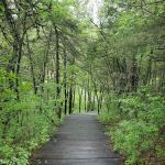 Kruger Campground