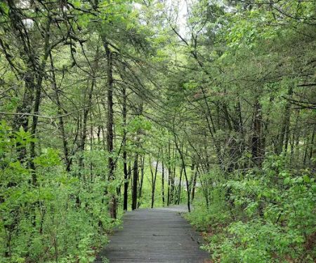 Kruger Campground