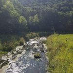 Upper Cedar Hills Campground