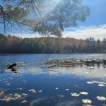 Dog Lake Shelter