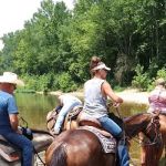 Horseshoe Holler Horse Camp