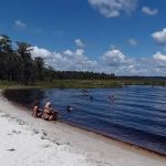 Lake Louisa State Park Campground - Loop A