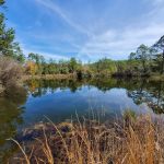 Eglin/FNST Jr Walton Pond
