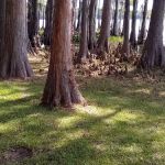 Florala City Park