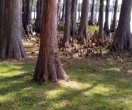 Florala City Park