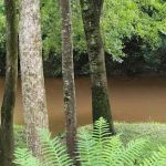 Flat Creek RV Park