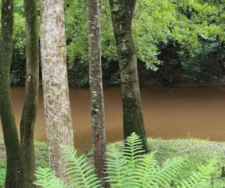 Flat Creek RV Park