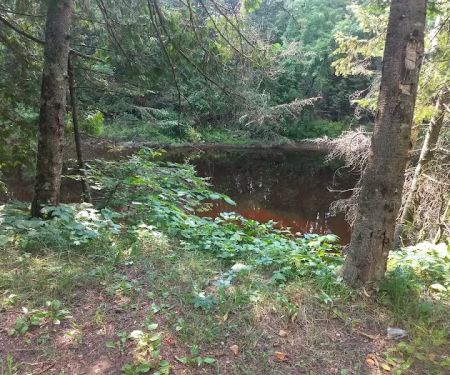 Cedar River North State Forest Campground