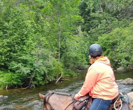 Horseshoe falls equine campground.