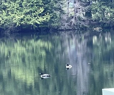 Ham Lake Campground