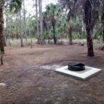 Whet Rock Campsite