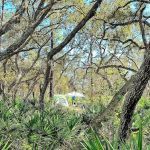 Campground Starkey