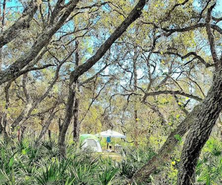 Campground Starkey