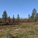 Chocolay River RV & Campgrounds
