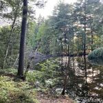 Pine Point Campground