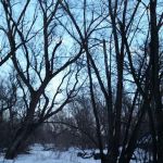 Creek Park