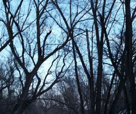 Creek Park