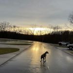 St Robert RV Park