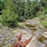 Slabtown Horse Camp LLC (formerly Slabtown Trail Rides)