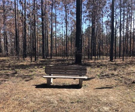 Bear Lake Camp Ground