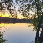 Pine River Flowage Boat Landing and Camp Sites (south end)