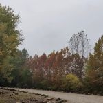 Pikes Camp Access