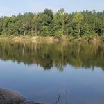 River Farms LLC