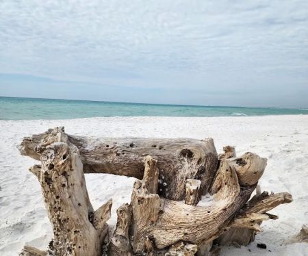 Fort Pickens Campground Loop A