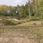 Siems Park