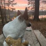 Emily Lake Campground
