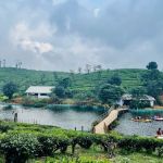 Tea Lakes