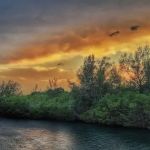 Scout Island