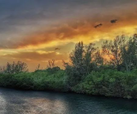 Scout Island