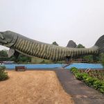 Northern Lure Resort & Campground LLC